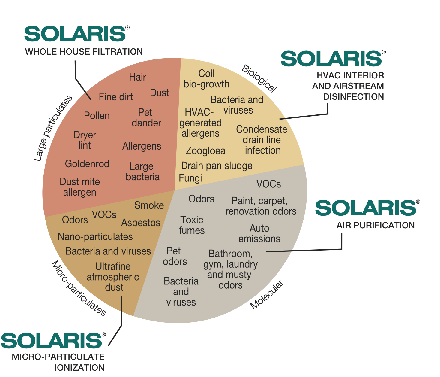 Solaris-Pie-Chart-Zoogloea-add-090825